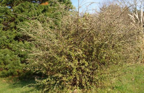 Le Rossignol - La Cipière Gîtes - Foto 25