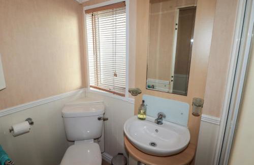 Rhosgranog Caravan - Foto 10