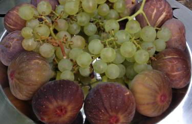 Le Refuge aux étoiles - Foto 6