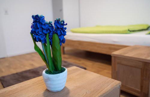 Wohlfühloase - Moderne Ferienwohnung mit großem eingezäuntem Garten in Alleinlage an Feld & Wald, Natur pur trifft auf Komfort, Wellness und gute Erholung - Foto 42