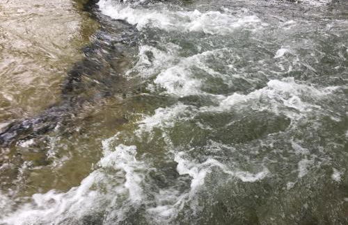 Swimming Hole - Foto 19