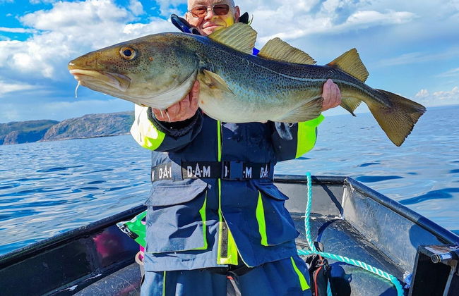 7 Person Holiday Home in Jarfjord-by Traum - Photo 12