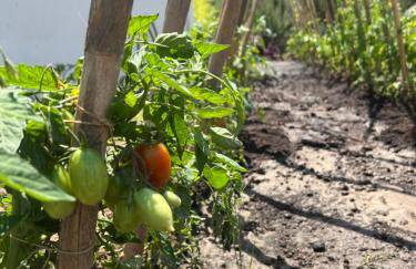 Zohavillas white - Foto 15