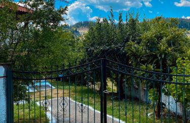 Σπίτι στα Έλατα - Foto 10