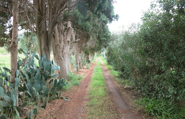 Sulla Scogliera - Photo 41