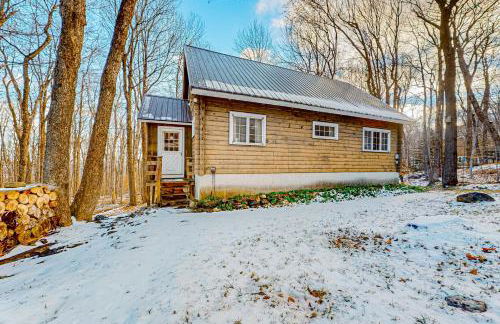 Log Ski Lodge - Photo 1