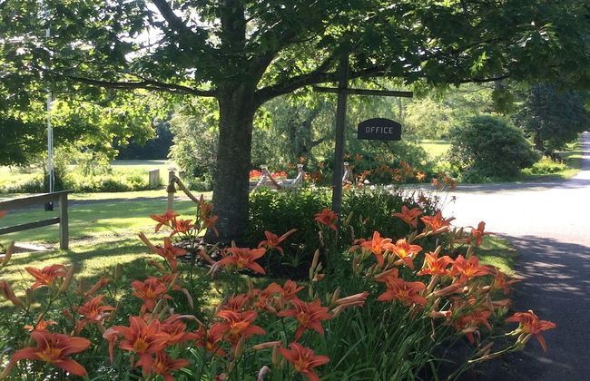 Villages of mountain Gap Cottages - Foto 2