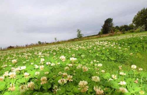 1 Bed in Bristol oc-85559 - Foto 19