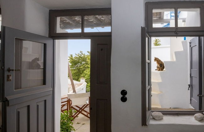 Village Aura in Tinos - Foto 13