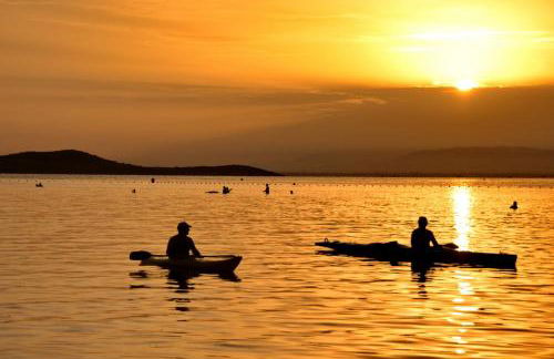 Apartamento Adan - Foto 47