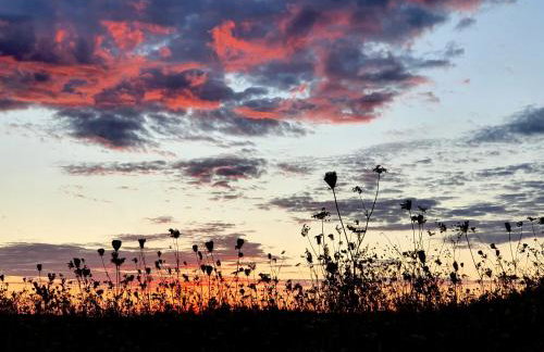Królewska Sielanka - Foto 36