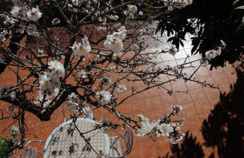 Villa Ideal - Foto 6