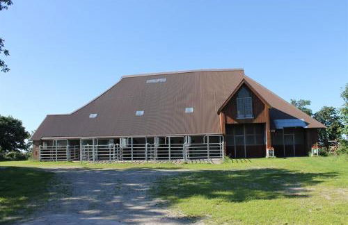 Tetenshof für Pferdeliebhaber - Foto 18