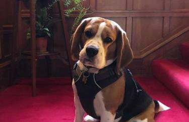 Tigh na Sgiath Country House Hotel - Foto 32