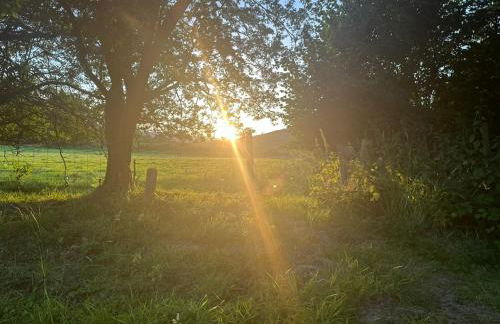 Glamping Life Retreat - Photo 70