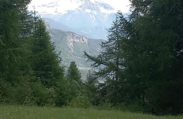 The Green Owl - Foto 9