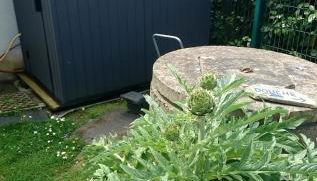 La Salicorne hébergement insolite - Foto 5