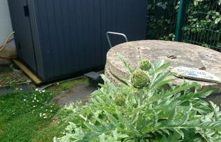 La Salicorne hébergement insolite - Foto 5