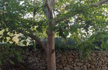 Villa Mios - Foto 32