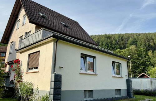 Ferienwohnung Schwarzwald Tannenzäpfle - Foto 59