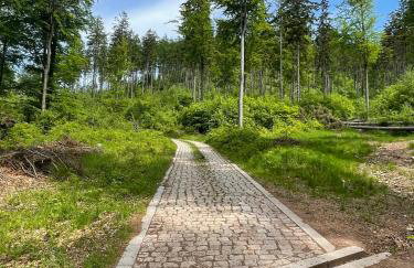 Wzgórze Artystów - Foto 49