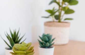 Casa Grande con Piscina Barbacoa cerca de la Playa con Aire Acondicionado Centralizado - Photo 35