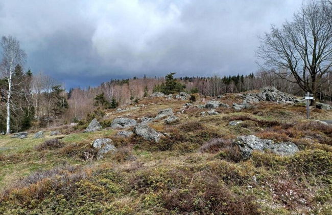 Modern Apartment in Eslarn With Lake Near - Foto 56