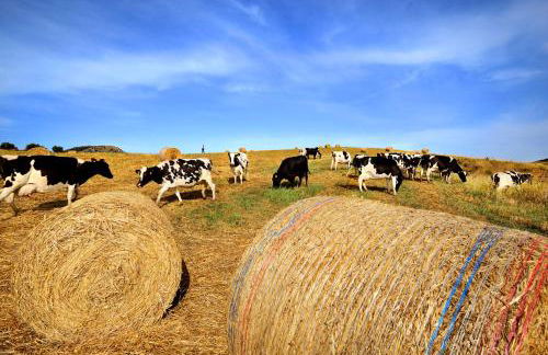 Agriturismo Villa Dafne - Foto 114