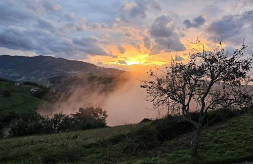 ARBELA Apartamentuak - Foto 26