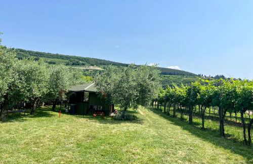 Corte Lavarini The Magic At Sight - Foto 49