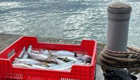 Apartment Mustapic - Foto 3