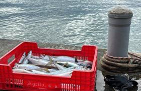 Apartment Mustapic - Foto 3