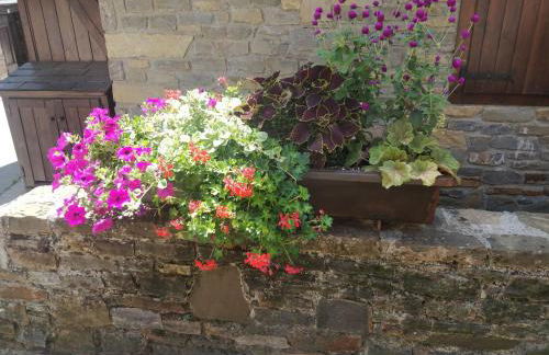 Cal Berg, Acogedor apartamento en Garòs cerca de Baqueira by Eth Flòc - Foto 40