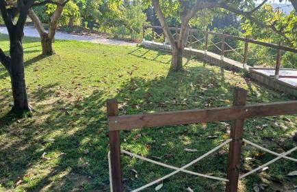 Finca Vista El Montanes - Photo 65