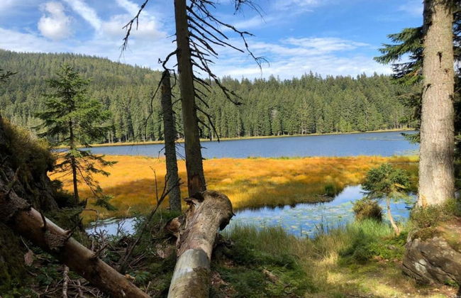 Apartment in the Bavarian Forest - Foto 37