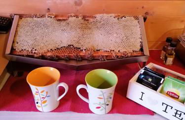 Agriturismo bio Apipoli - Foto 15