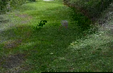 Rincón De Gaetano - Photo 27