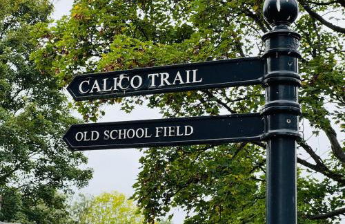 Old Betting Shop for 3 & Furry Friend - Photo 49