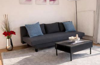 Luxus Apartment - Charmante 2 ZKB Ferienwohnung - Foto 8