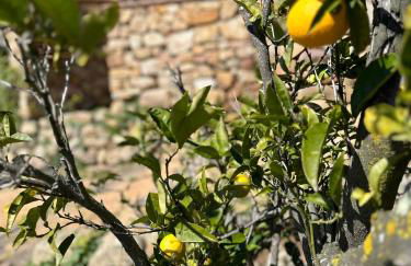 B&B La Vista Brava - Foto 75