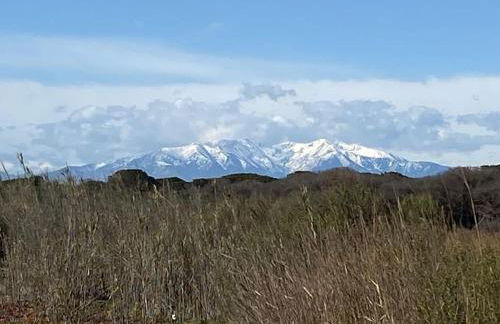 Maison à 250 m de la plage ! - Foto 21