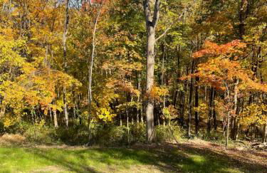 The Quana - Hot tub, fire pit, and Huge Entertainment Area - Foto 34