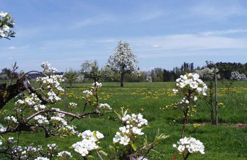 Baumanns Ferienhof Am See - Foto 29