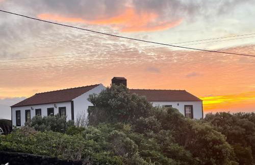 Dream By The Sea - Photo 9