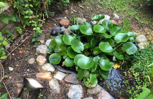 FERIENHAUS ANNEMARIE - Foto 14