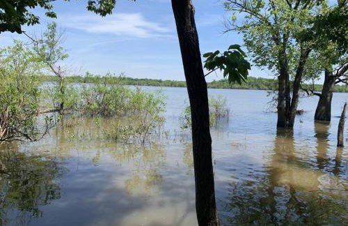 Cozy Cottage • 2 King Beds • Grove • Kayaks • Washer/Dryer - Foto 7