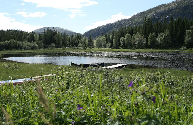 Velfjord camping & hytter - Foto 43