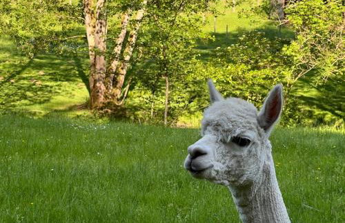 Lac de Vassivière Petite maison à proximité - Foto 30