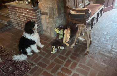 Homestead Upper Bucks - No Pet Fees - Foto 33