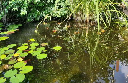 deluxe Doppelzimmer - Foto 40
